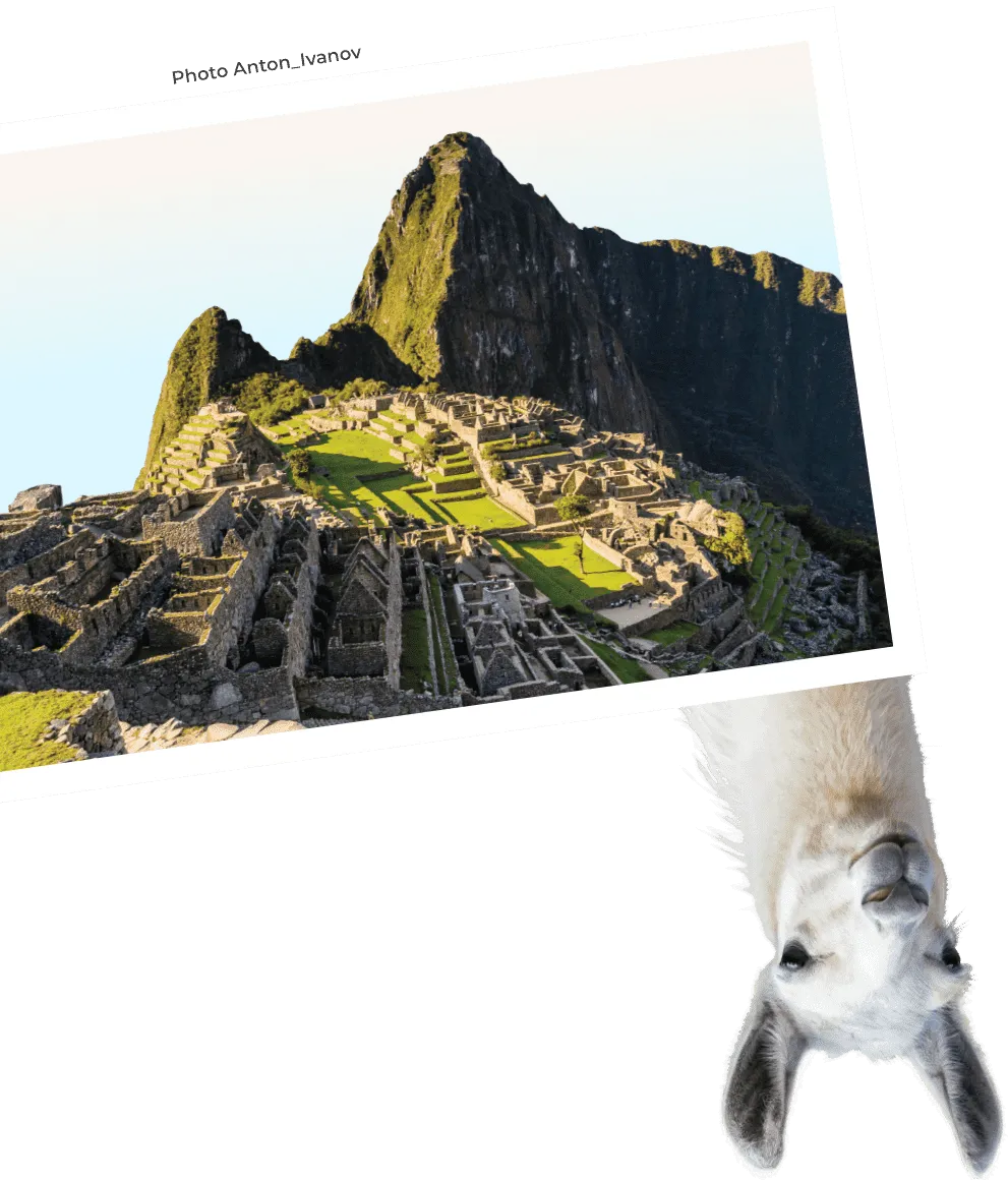 Machu Picchu and Llama